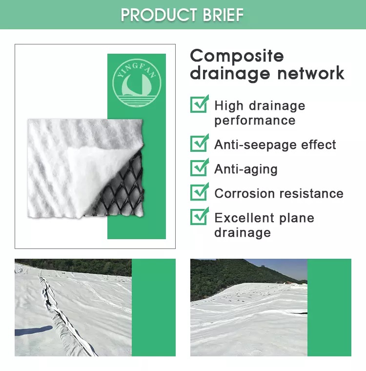 &iquest;Cu&aacute;l es la red de drenaje m&aacute;s com&uacute;n?