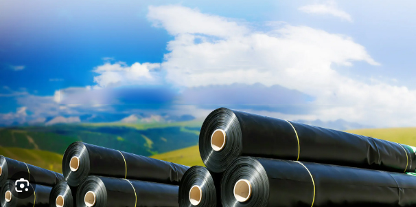 &iquest;Para qu&eacute; se usa una geomembrana?