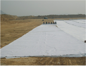 Geotextiles para zapatas de arena de base 100 g/m2