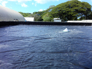 Membrana de HDPE para acuicultura de 40 mils